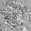 7S3B Case 7) muscle_018 - Copy