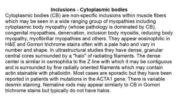 0A Inclusions - Cytoplasmic bodies - Text