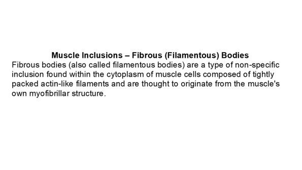 0A Inclusions - Fibrous (Filamentous) Bodies