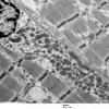 3B4B Case 3_002 - Copy