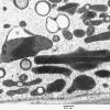 5F2B Case 5_032 - Copy