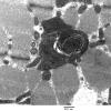 5F3A Case 5_024 - Copy