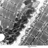 5F9A Case 5_027 - Copy