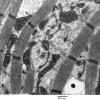 5F9B Case 5_006 - Copy