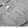 2C9C (Case 2) EM008 - Copy