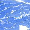 9A8A (Case 9) Plastic 40X 1