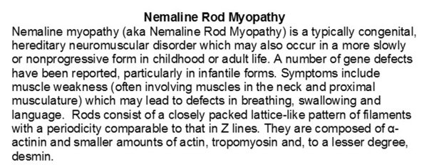 0A Nemaline Rod Myopathy - Text