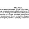 0A Ring Fibers - Text