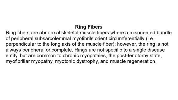0A Ring Fibers - Text
