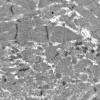 1G9C (Case 1) Muscle_013 - Copy