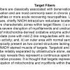 0A Target Fibers - Text
