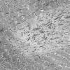 1J2A (Case 1 EM004 - Copy