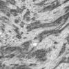 1J4C (Case 1) EM038 - Copy