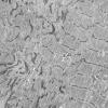 1J7B (Case 1 EM048 - Copy
