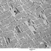 4A2-Case-4-EM088.jpg