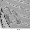 4A3-Case-4-EM036.jpg