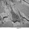 4A4-Case-4-EM_037.jpg