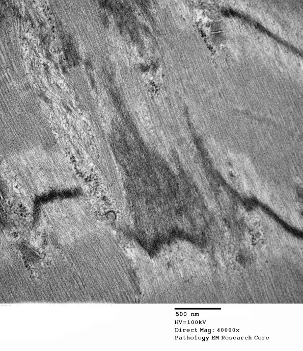 4A4-Case-4-EM_037.jpg