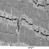 4A5-Case-4-EM044.jpg