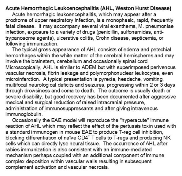 1A0 Acute Hemorrhagic Leukoencephalitis - Text.docx