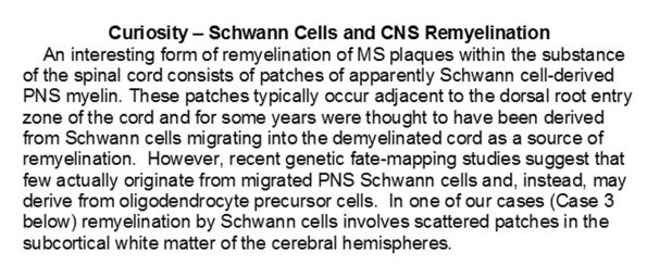 0A - Schwannian Remyelination - Text