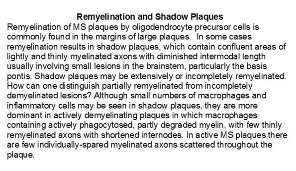 0A Remyelination & Shadow Plaques - Text