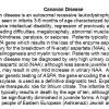 0A Canavan Disease - Text