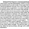 0A Post-Hypoxic Leukoencephalopathy - Text