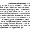 0A Neuroaxonal Leukodystrophy - Text (2)