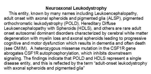 0A Neuroaxonal Leukodystrophy - Text (2)