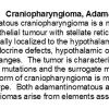 0A Craniopharyngioma, adamantinomatous - Text