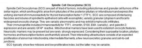 0A Spindle Cell Oncocytoma (SCO) - Text