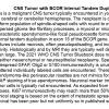 0A CNS Neoplasm BCOR Duplication - Text