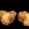 9A Medulloblastoma, LCA (Case 9) gross 1