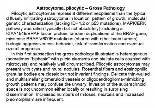 0A Astrocytoma, pilocytic, Ultrastructure - Text