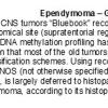 0A Ependymoma - Gross and Microscopic