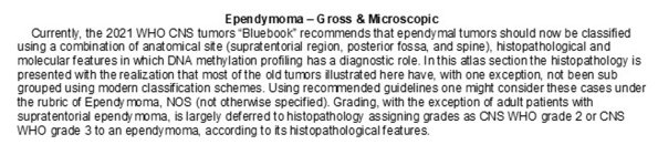 0A Ependymoma - Gross and Microscopic