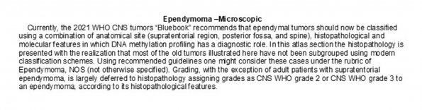 0A Ependymoma - Microscopic - Text