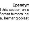 0A Ependymoma, clear cell