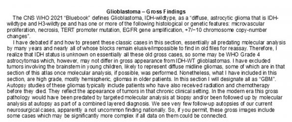 0A Glioblastoma - Gross Pathology - Text