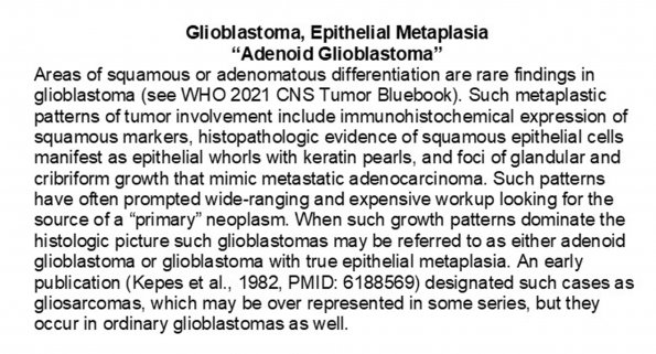 0A Glioblastoma, Adenoid pattern - Text