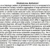 0A Glioblastoma, epithelioid - Text