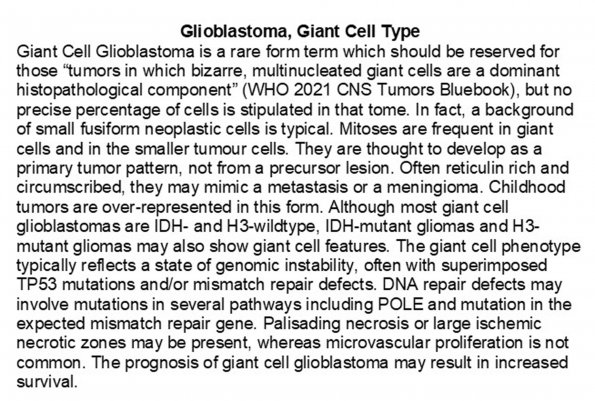 0A Glioblastoma, giant cell