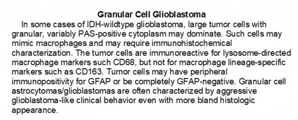 0A Glioblastoma, granular cell - Text