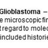 0A Glioblastoma - Microscopic Features - Text