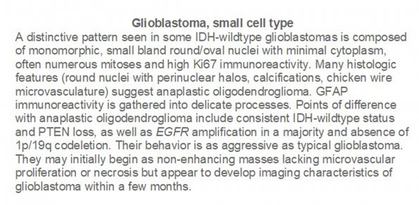 0A Glioblastoma, small cell type - Text