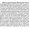 0A Diffuse Leptomeningeal Glioneuronal Tumor (DLGNT)