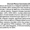 0A Choroid Plexus Carcinoma (CPC)