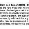 0A Choriocarcinoma - Text