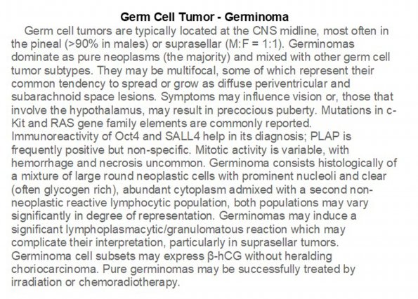 0A Germ Cell Neoplasm - Germinoma